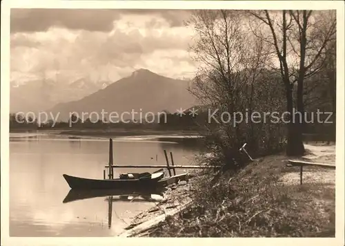 Altenrhein Partie beim Strandbad am Alten Rhein Alpenblick Kat. Altenrhein