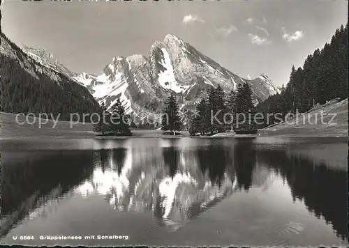 Alt St Johann Panorama Graeppelensee mit Schafberg Appenzeller Alpen Kat. Alt St Johann