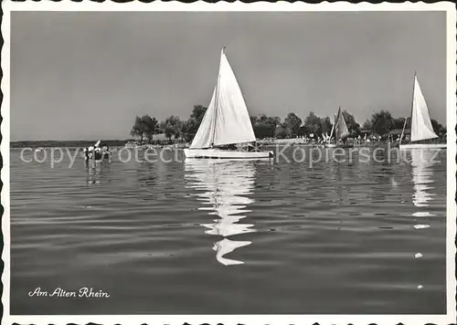 Altenrhein Strandbad am Alten Rhein Segelboot Kat. Altenrhein