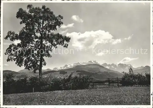 Hemberg SG Blick vom Eggli zum Alpstein / Hemberg /Bz. Toggenburg