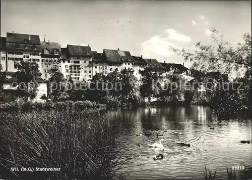 Wil SG Partie am Stadtweiher Schwan Enten Kat. Wil SG