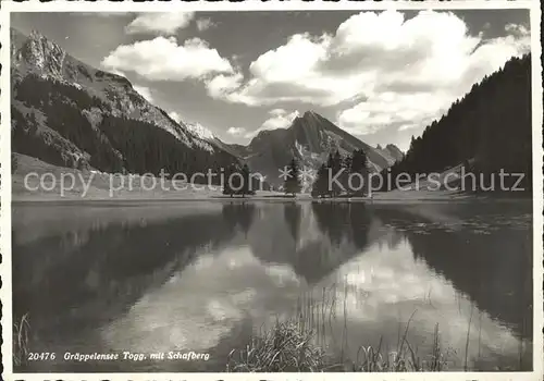 Alt St Johann Panorama Graeppelensee mit Schafberg Appenzeller Alpen Kat. Alt St Johann