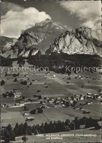 Wildhaus SG Panorama mit Schafberg Appenzeller Alpen Kat. Wildhaus