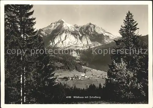 Wildhaus SG Panorama mit Schafberg Appenzeller Alpen Kat. Wildhaus