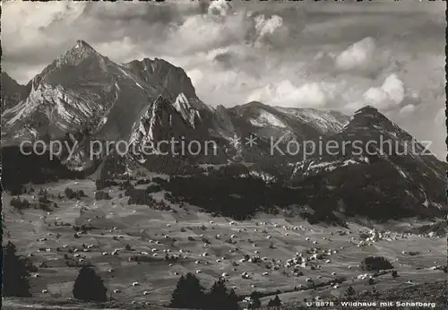 Wildhaus SG Panorama mit Schafberg Appenzeller Alpen Kat. Wildhaus