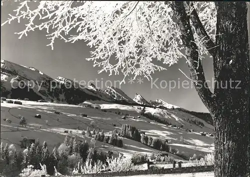 Wildhaus SG Winterimpressionen Blick zu den Churfirsten Appenzeller Alpen Kat. Wildhaus