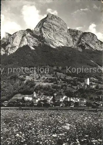 Sargans Ortsansicht mit Gonzen Appenzeller Alpen Kat. Sargans