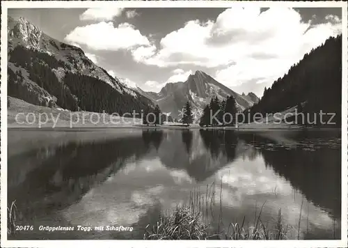 Alt St Johann Panorama Graeppelensee mit Schafberg Appenzeller Alpen Kat. Alt St Johann