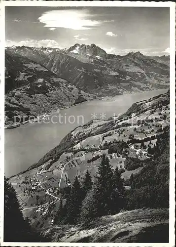 Walenstadtberg Panorama mit Walensee Muertschenstock Glarner Alpen Kat. Walenstadtberg