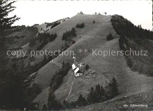 Goldingen Restaurant Alp Schindelberg Kat. Goldingen