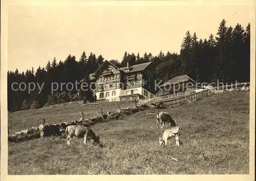 Buchs SG Kurhaus Buchserberg Kuehe /  /