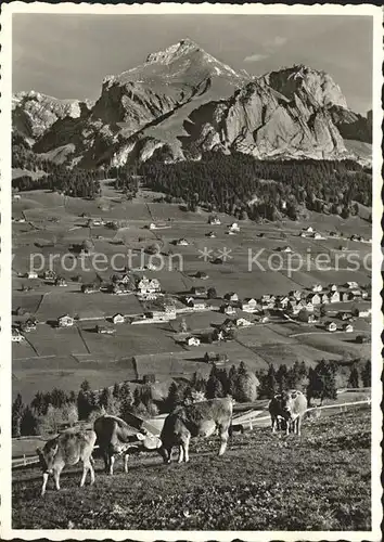 Wildhaus SG Panorama Kurgebiet Obertoggenburg Kuehe Schafberg Saentis Appenzeller Alpen Kat. Wildhaus