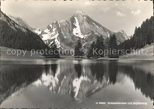 Schafberg Wildhaus Graeppelensee Kat. Wildhaus