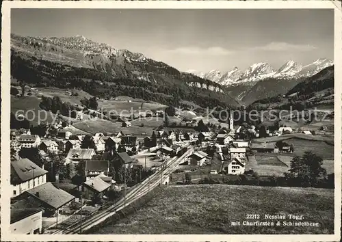 Nesslau mit Churfirsten und Schindelberg Kat. Nesslau