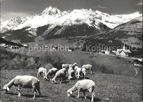 Affeier Teilansicht Schafherde Alpenpanorama Kat. Affeier