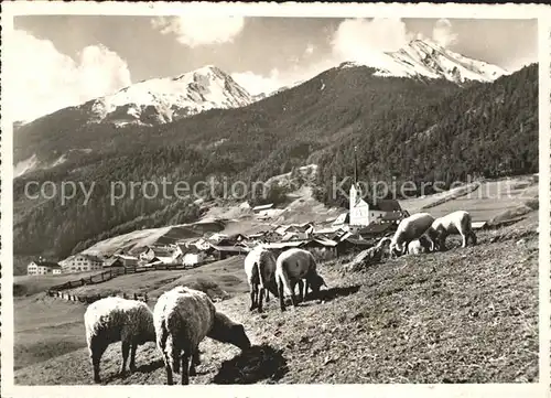 Alvaneu Dorf Teilansicht Schafherde Kat. Alvaneu Dorf