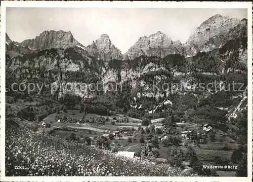 Walenstadtberg Gesamtansicht Kat. Walenstadtberg