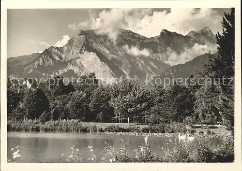 Bad Ragaz Rheinparksee mit Falknis Kat. Bad Ragaz