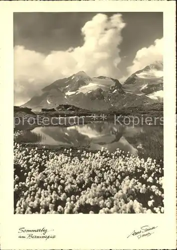 Bernina Sommer am Berninapass Kat. Bernina