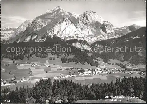 Wildhaus SG Panorama gegen Schafberg Appenzeller Alpen