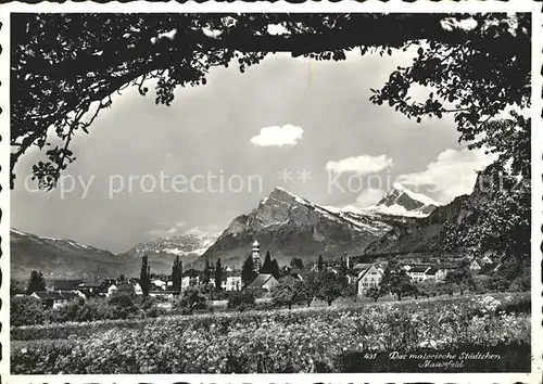 Maienfeld Gesamtansicht mit Alpenpanorama Kat. Maienfeld