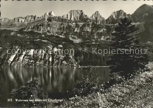 Mols Partie am Walensee mit Churfirsten Appenzeller Alpen Kat. Mols