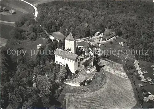 Stetten SH Schloss Herblingen Fliegeraufnahme Serie Arts et Antiquites Kat. Stetten SH