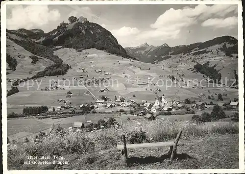 Stein SG Panorama mit Goggeien und Speer Alpstein Kat. Stein SG