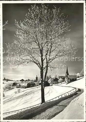 Hemberg SG Winterimpressionen Kurort / Hemberg /Bz. Toggenburg