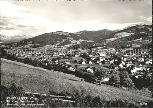 Ebnat Kappel Panorama Blick auf Churfirsten Riedbach Wolzenalp Speer Kat. Ebnat Kappel