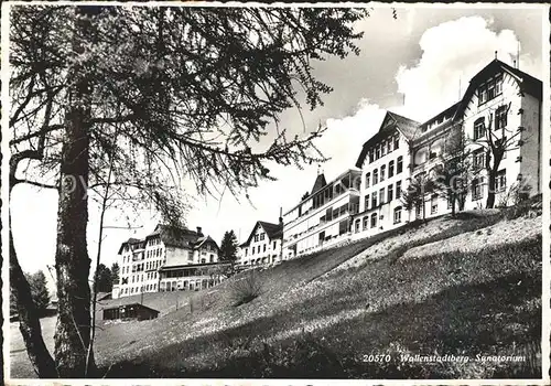 Walenstadtberg Sanatorium Kat. Walenstadtberg