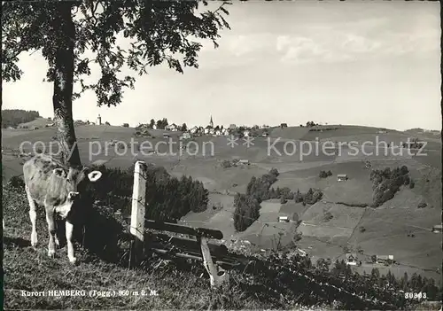 Hemberg SG Panorama Blick von der Viehweide Kuh / Hemberg /Bz. Toggenburg