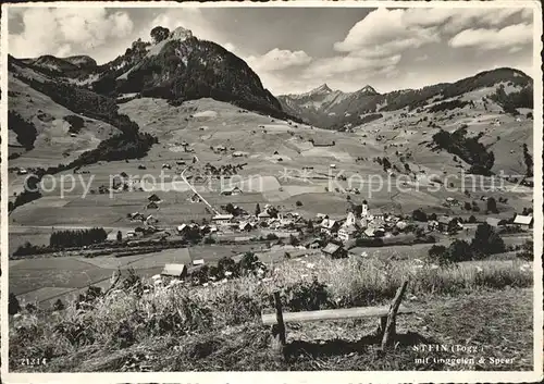 Stein SG Panorama mit Goggeien und Speer Appenzeller Alpen Kat. Stein SG