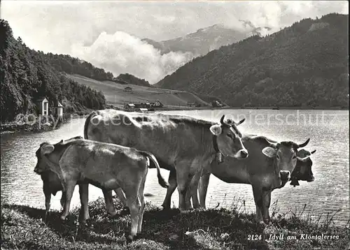 Kloental Idyll am Kloentalersee Kuehe Kat. Kloental