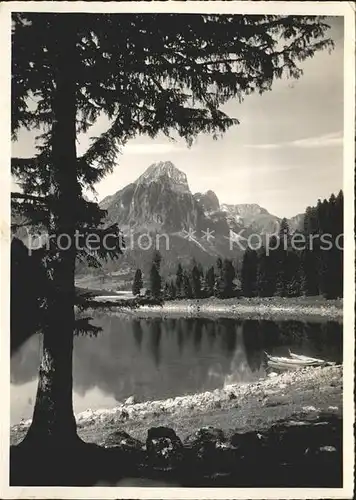 Naefels Uferpartie am Obersee mit Bruennelistock Berggasthaus Kat. Naefels