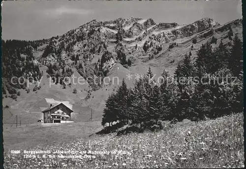 Mollis Berggasthaus Alpenroesli auf Mullernalp Kat. Mollis