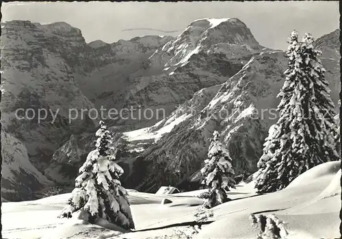 Braunwald GL Panorama gegen Toedi Glarner Alpen Winterimpressionen Kat. Braunwald