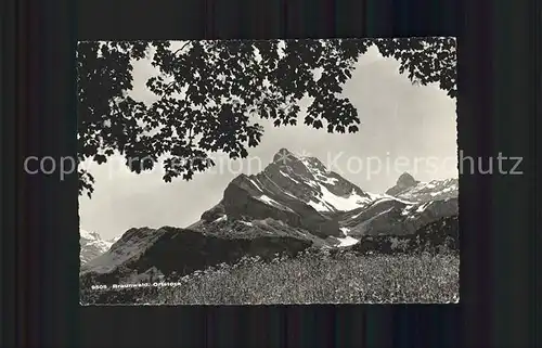 Braunwald GL Panorama Blick gegen Ortstock Glarner Alpen Kat. Braunwald