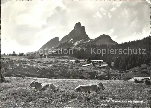 Braunwald GL Braunwaldalp mit Eggstock Kuehe Kat. Braunwald