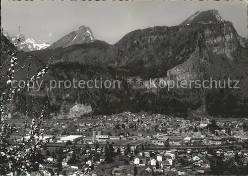 Naefels Panorama mit Bruennelistock Baumbluete Kat. Naefels