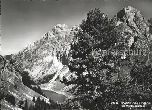 Filzbach Panorama mit Spanneggsee und Muertschenstock Kat. Filzbach