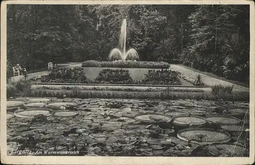 Liegnitz Warmwasserteich Kat. Legnica