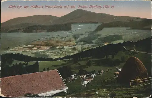 Guebwiller Elsass Blick von der Melkerei Freundstein auf den Grossen Belchen Kuh