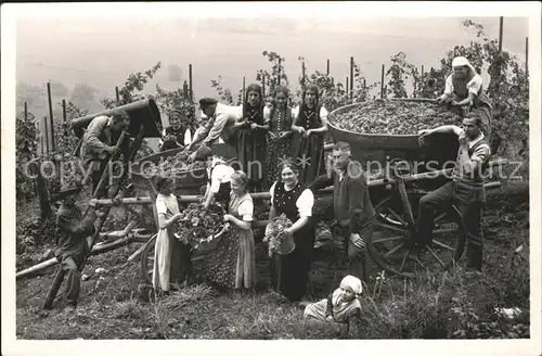 Glottertal Gasthof zum Hirschen  / Glottertal Schwarzwald /Breisgau-Hochschwarzwald LKR