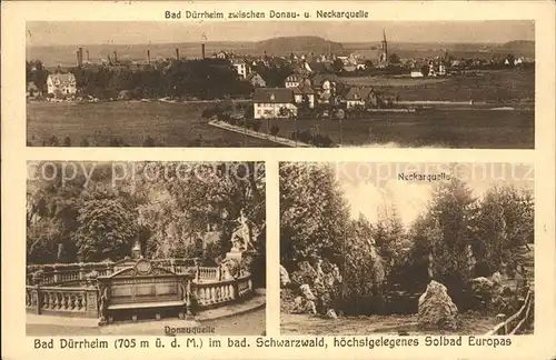 Bad Duerrheim Neckarquelle / Bad Duerrheim /Schwarzwald-Baar-Kreis LKR