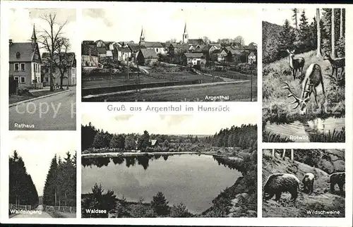 Argenthal Rathaus Rotwild Wildschweine Waldsee / Argenthal /Rhein-Hunsrueck-Kreis LKR