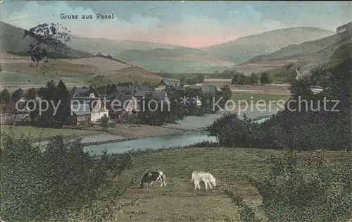 Pasel Litho / Plettenberg /Maerkischer Kreis LKR