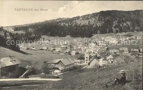 Todtmoos von Osten / Todtmoos /Waldshut LKR