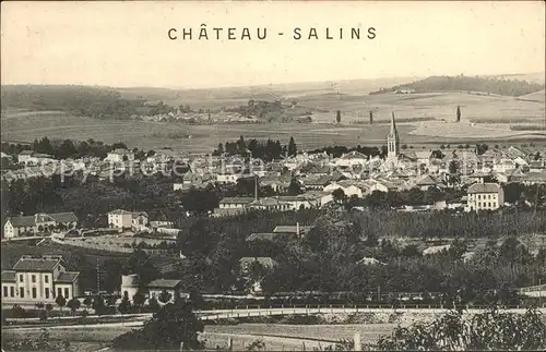 Chateau-Salins Vue panoramique / Chateau-Salins /Arrond. de Chateau-Salins