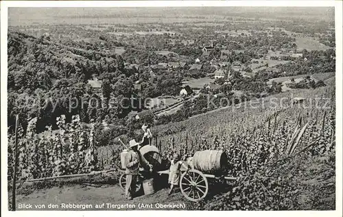 Tiergarten Ortenau Blick von den Rebbergen / Oberkirch /Ortenaukreis LKR